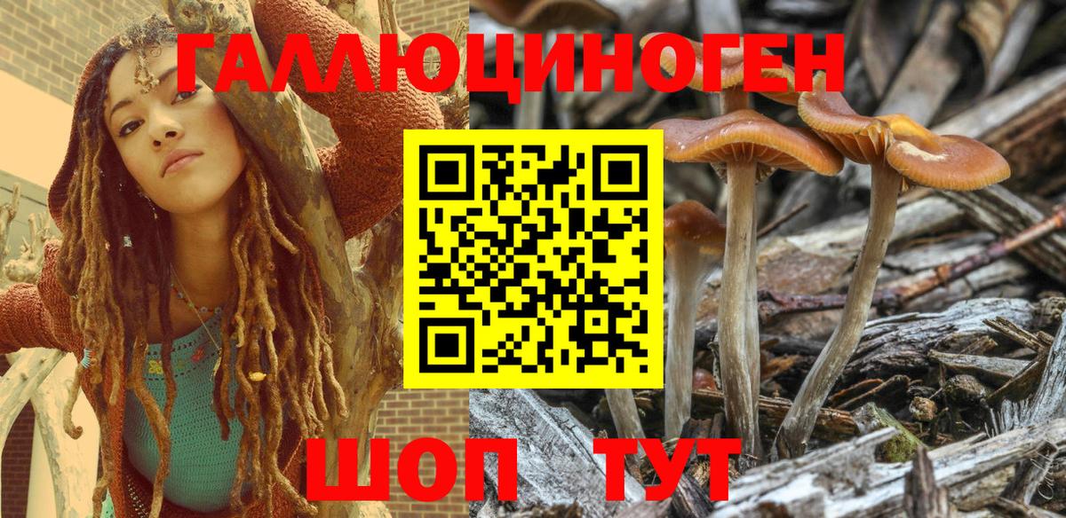Галлюциногенные грибы Psilocybine cubensis  Псилоцибиновые грибы Psilocybe  Вход с VPN  Елизово 